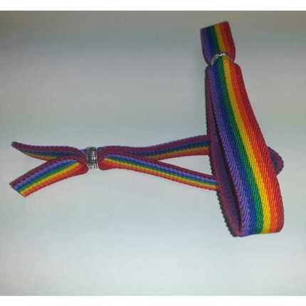 PULSERA LUJO CHICO GOMA CON BOLITA ORGULLO - 001