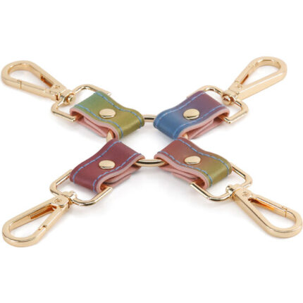 SPECTRA BONDAGE HOGTIE - 001