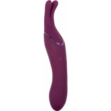 TEMPT AND TEASE SASS MORADO - 001