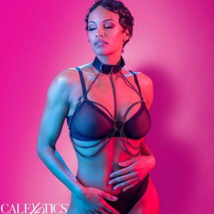 CALEXOTICS - EUPHORIA ARNÉS DE CUELLO DE CADENA - sexbliss - Foto 1